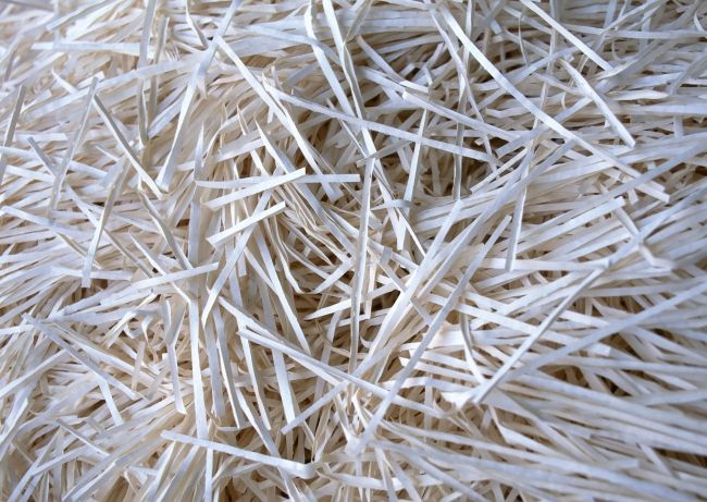 瘋狂的廢紙價格還會持續下跌嗎?