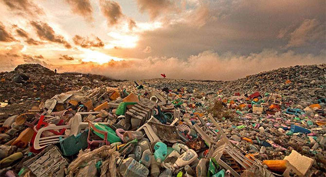 塑料垃圾新解決方案：用海藻做原料